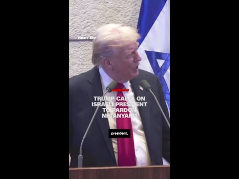 Trump calls on Israeli president to pardon Netanyahu