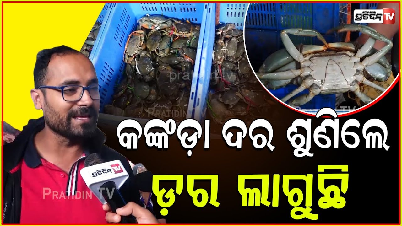 ନୂଆ ବର୍ଷରେ କଙ୍କଡା କିଲୋ ୧୬୦୦ ! Crab prices RS-1600 by kilos in the New Year