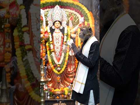 😱🔥Bantoo Bhai in Durga Pandal,Garba night | Navratri Special |🫀✨ #navratri #monkeyvlog #garba