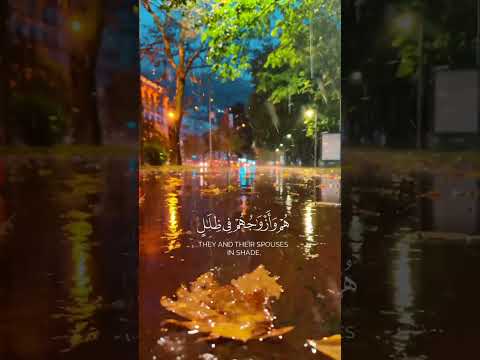 ايات القرآنية