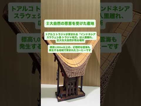 ◼︎SNS担当社員が選ぶ！トアルコ トラジャの魅力3選 #coffee #shorts