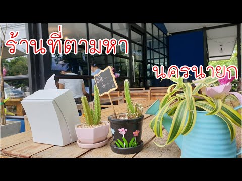 ร้านที่ตามหา-อาหารเครื่องดื่มใ ร้านที่ตามหา-อาหารเครื่องดื่มใ