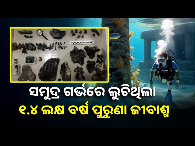 ନୂଆ ରହସ୍ୟର ହେଲା ଖୁଲାସା, ସମୁଦ୍ର ଗର୍ଭରୁ ମିଳିଲା ହଜାର ହଜାର ବର୍ଷ ପୁରୁଣା ମାନବ ସଭ୍ୟତାର ଅବଶେଷ ||Knews Odisha