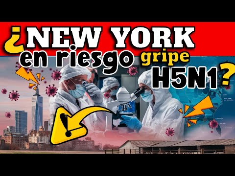 ¡ALERTA! ¿NEW YORK EN ALERTA POR GRIPE AVIAR H5N1? - SE REPORTAN NUEVOS BROTES DE GRIPE AVIAR !!!