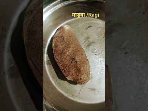 ऐसा खाना खाओगे तो बाटना पड़ेगा खून 🤣 #comedy #funny #duet #trending #comdeymemes #comedyfilms