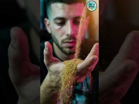 לאן הלך החופש הגדול?