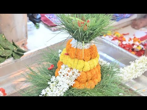 Part 3 baidhyanath jyothilinga rudrabhishekam