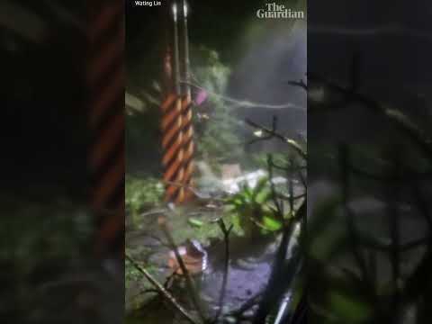 Typhoon Koinu lashes south Taiwan