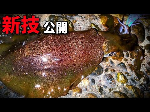 【そんなので釣れるの？】日本海エギングを語りながら新技紹介 #釣り #エギング #アオリイカ