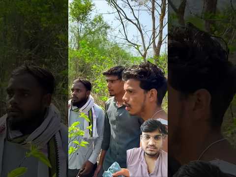 जंगल में शेर मिल गया #shortsfeed #shorts #youtubeshorts #explore #funny #comedy #trending #memes