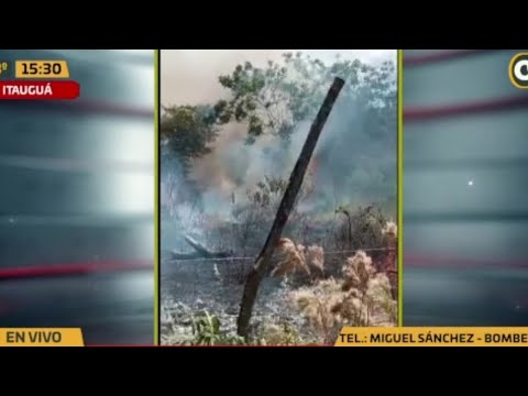 Incendio forestal en Itauguá fue controlado