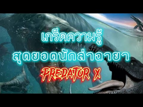 เกร็ดความรู้ตอนที่54ไพลโอซอ