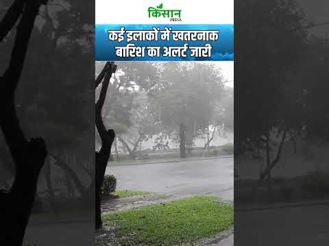 #breakingnews Weather Update: Heavy Rain Alert, Delhi Rajasthan, UP, MP, Bihar को भारी