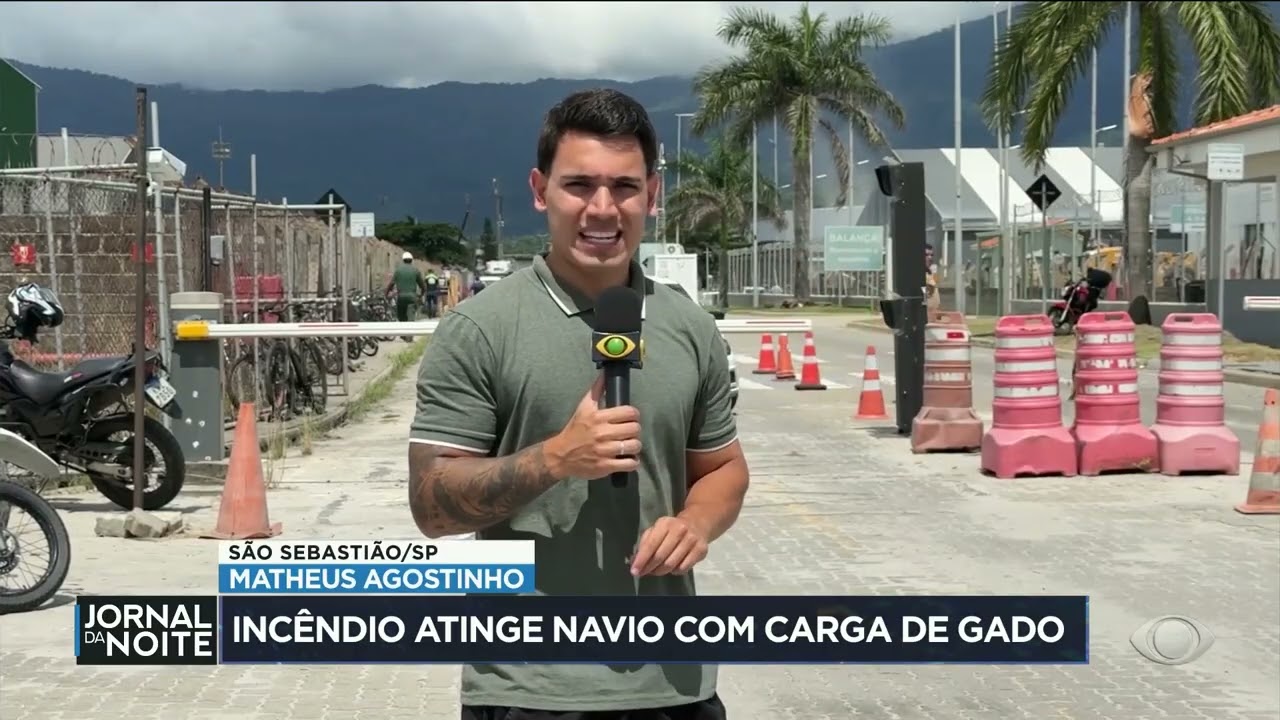 Incêndio atinge navio com carga de gado