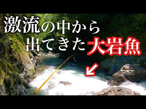 【渓流釣り】濁った川から出てきたのは、ぶっとい大イワナ！