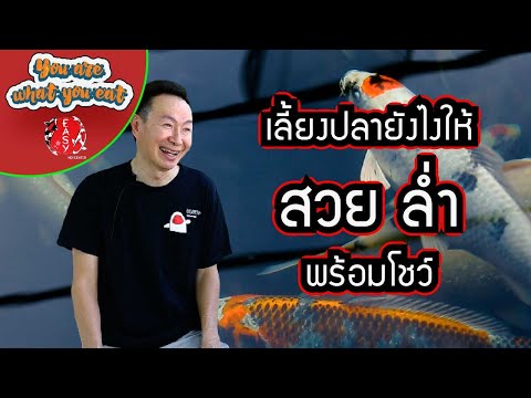 You-Are-What-You-Eat:-เลี้ยงปล You-Are-What-You-Eat:-เลี้ยงปล