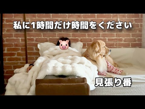 【少し前の出来事】私に1時間だけ時間をください