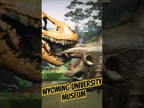 #phonkmusic #wyoming #adventure #museum #headshot #audio