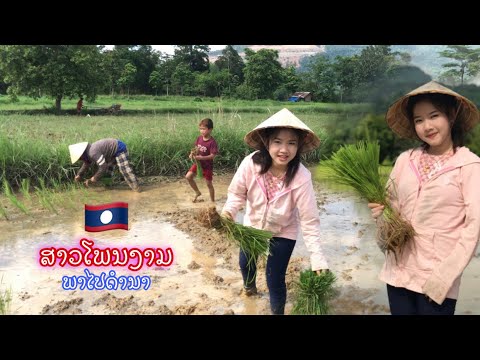 🇱🇦สาวลาว-พาไปดูการดำนา-ชมวิวธร 🇱🇦สาวลาว-พาไปดูการดำนา-ชมวิวธร