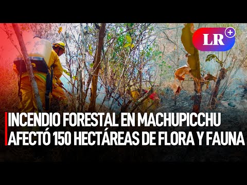 INCENDIO FORESTAL en MACHUPICCHU afectó 150 hectáreas de flora y fauna | #LR