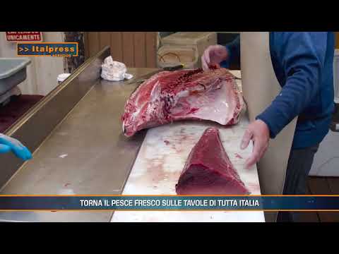 TORNA IL PESCE FRESCO SULLE TAVOLE DI TUTTA ITALIA