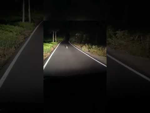 #nature #beauty #travel #youtubeshorts