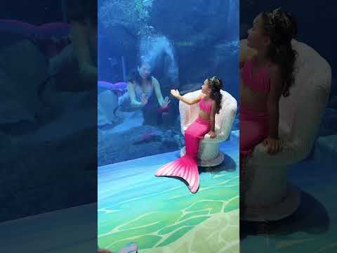 Hai saajan se ❤️❤️💃🏻 #song #bollywood #love #shorts #trending #youtuber #ytshorts #yt #youtube #