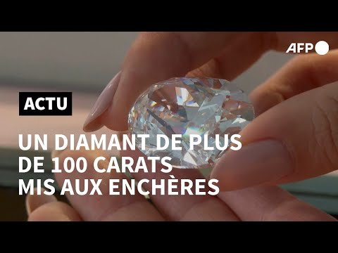 Sotheby's met aux enchères un rare diamant de plus de 100 carats | AFP