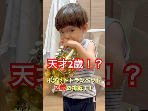 【天才2歳!?】ポケットトランペットに挑戦!The two-year-old boy plays the pocket trumpet.