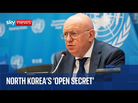 Russian ambassador to the UN gives news conference ahead of Security Council presidency