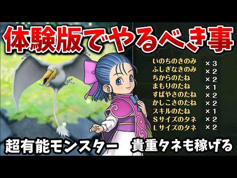 【DQM4】要注意ポイントあり！体験版でやるべきこと＆おすすめの攻略法まとめ【ドラクエモンスターズ4】