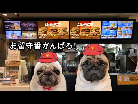 【生配信】マクドナルドで話題の新作バーガー買ってくるので見守ってて下さい