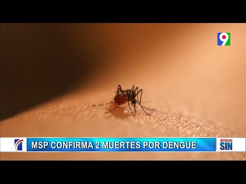 MSP confirma dos muertos por dengue | Emisiòn Estelar SIN