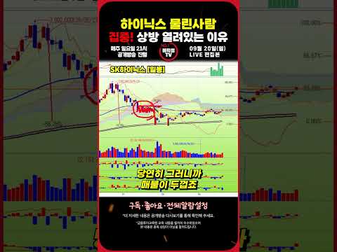 SK하이닉스 250만원까지 갈 것인가 #코스피 #SK하이닉스 #하이닉스주가전망 #하이닉스전망 #sk하이닉스주식전망 #sk하이닉스주가 #sk하이닉스대응전략