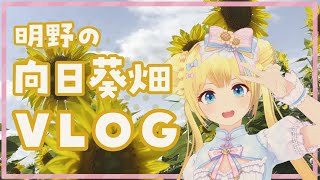 【VLOG】明野の向日葵畑に夏の思い出作りに行ってきた！
