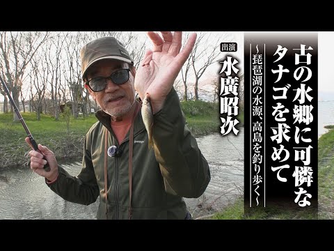 #672 古の水郷に可憐なタナゴを求めて~琵琶湖の水源、高島を釣り歩く~