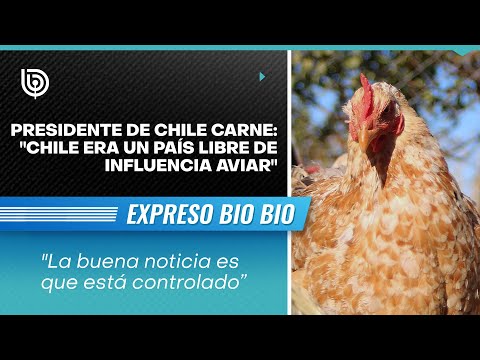 Presidente de Chile Carne: Chile era un país libre de influencia aviar”