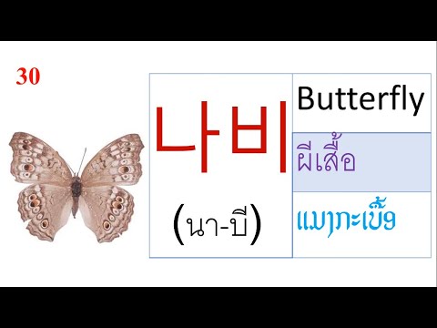 30คำศัพท์สัตว์ในภาษาเกาหลี한