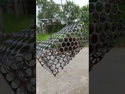 perangkap tikus #tikus #shortsviral #ytshorts