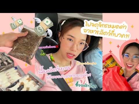 ซื้ออาหารสัตว์เลี้ยงให้10กว่