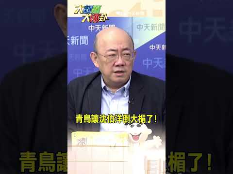 青鳥讓沈伯洋倒大楣了!#郭正亮 【#大新聞大爆卦】#shorts #馬千惠 #李珮瑄@大新聞大爆卦HotNewsTalk​