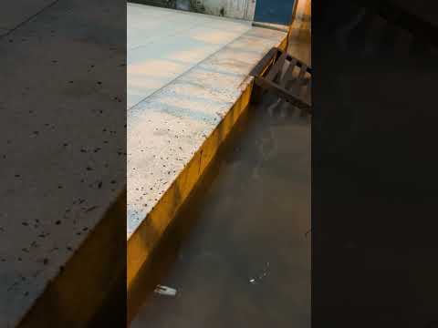 Chill chill #rain #moment #hightide #night #shorts