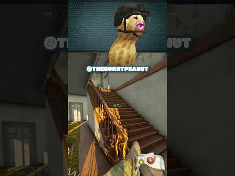 New Wardogs <strong>Meta</strong>