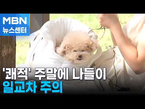 선선한 <strong>바람</strong>…나들이하기 딱 좋아 [MBN 뉴스센터]