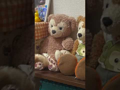 完全なる試験投稿 見なくてok