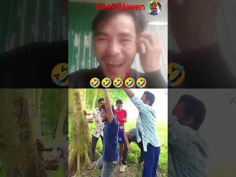 can not help laughing, with the saints