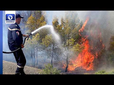 DR Congo Ebola Crisis, Algeria Wildfire Update + More | Network Africa