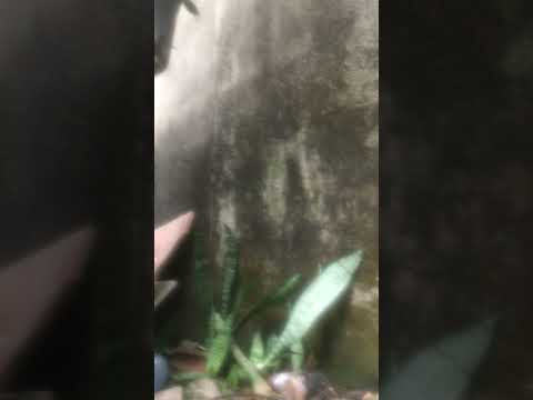 ngày 26 tháng 12, 2022