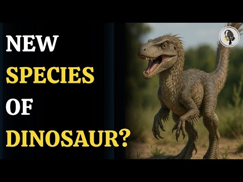 T. Rex Wasn’t Just One Species! | WION Podcast