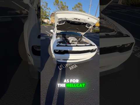 PT 2 HELLCAT VS TURBO GTI 😱‼️ Supercharged vs TURBOcharged #hellcat#srt#challenger#cars#gti#turbo